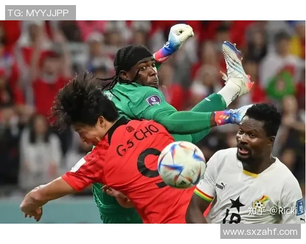 韩国与卡塔尔的激战在16强赛中谁能笑到最后乐视直播全程回顾 韩国与卡塔尔的激战在16强赛中谁能笑到最后乐视直播全程回顾