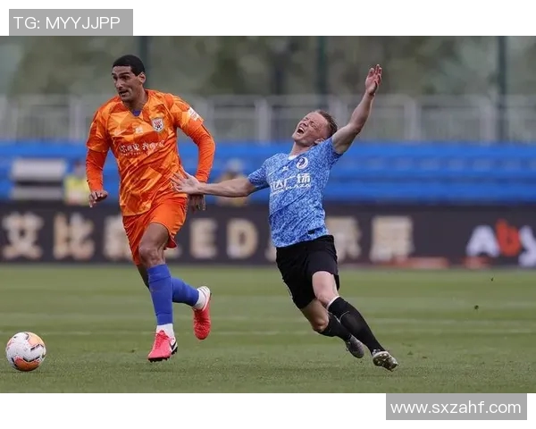 尼姆与布尔格2017年精彩对决回顾及赛季分析