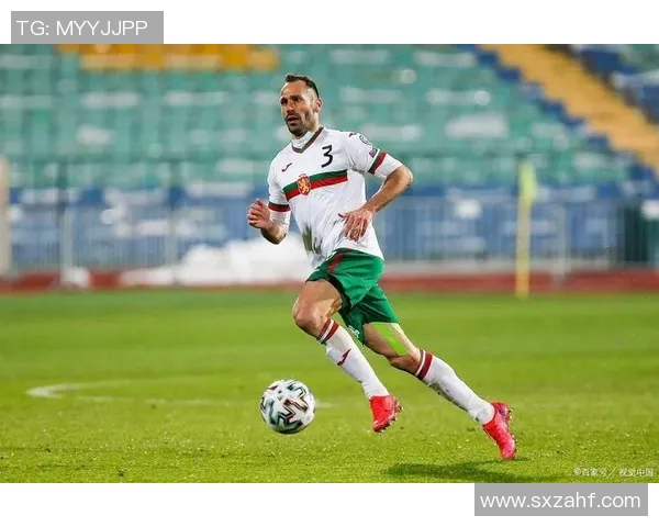 爱尔兰与保加利亚足球赛结果揭晓双方表现精彩引发热议