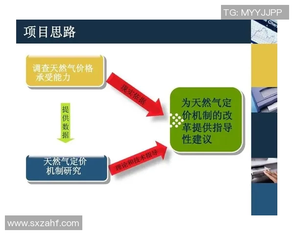 专业分析LNG市场的盯防策略与应对措施探讨