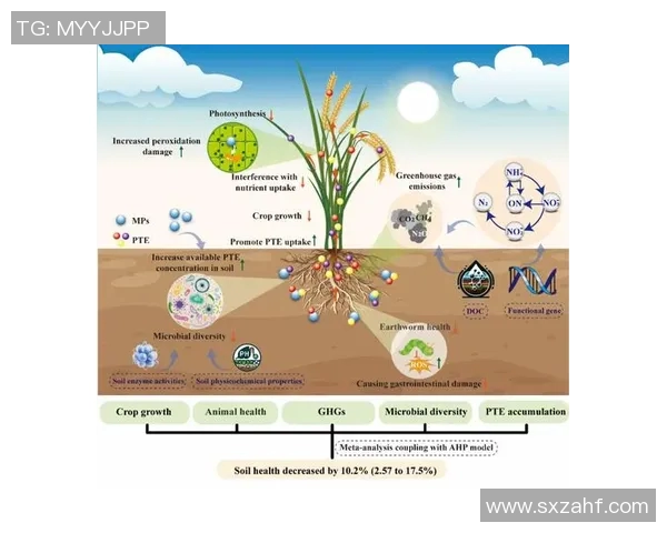 广州乒乓球队实力深度解析：从训练到比赛的全方位探讨与展望MBA