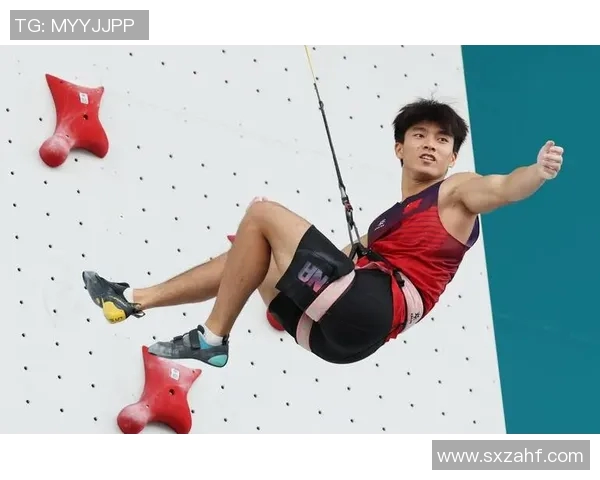 重庆攀岩队与南京攀岩队赛后战术分析与总结探讨