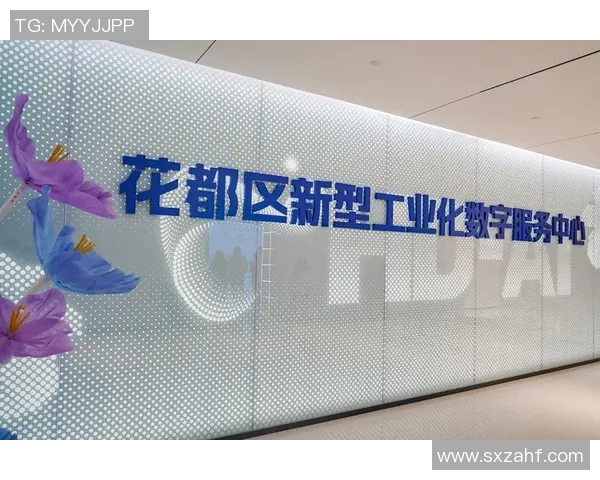 广州排球队实力分析与发展潜力探讨聚焦排球运动的未来之路